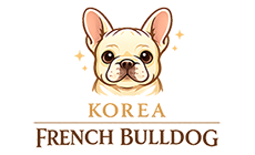 코리아프렌치불독